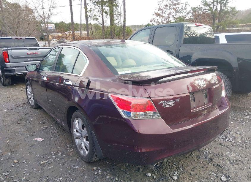 Photo 3 of 2010 Honda Accord 3.5 EX-L (VIN 5KBCP3F83AB004622)