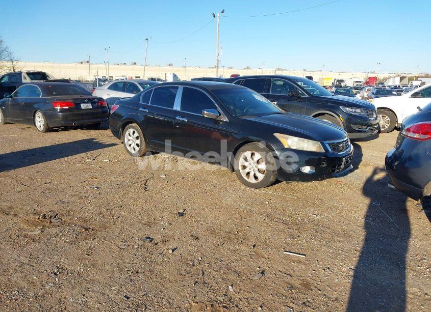 2010 Honda Accord 3.5 EX-L (VIN 5KBCP3F83AB010419) main photo