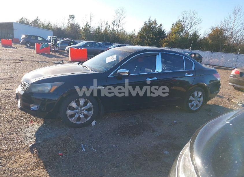 Photo 14 of 2010 Honda Accord 3.5 EX-L (VIN 5KBCP3F83AB010419)