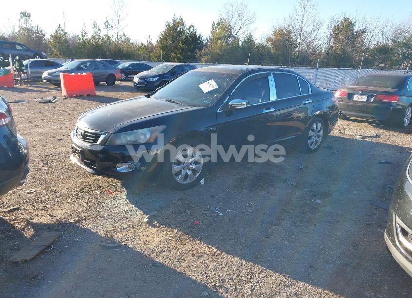 Photo 2 of 2010 Honda Accord 3.5 EX-L (VIN 5KBCP3F83AB010419)