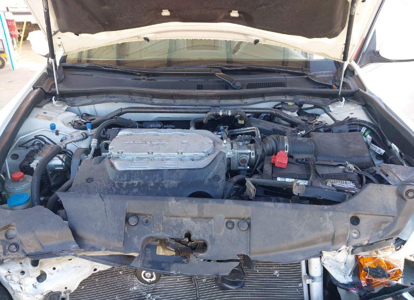 Photo 10 of 2010 Honda Accord 3.5 EX-L (VIN 5KBCP3F83AB013191)