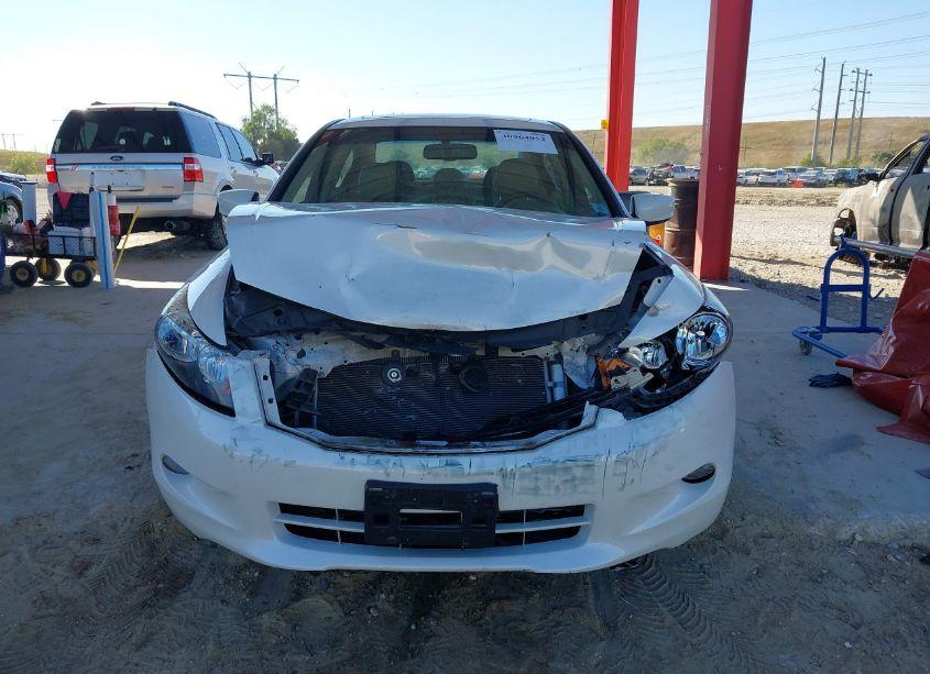 Photo 12 of 2010 Honda Accord 3.5 EX-L (VIN 5KBCP3F83AB013191)