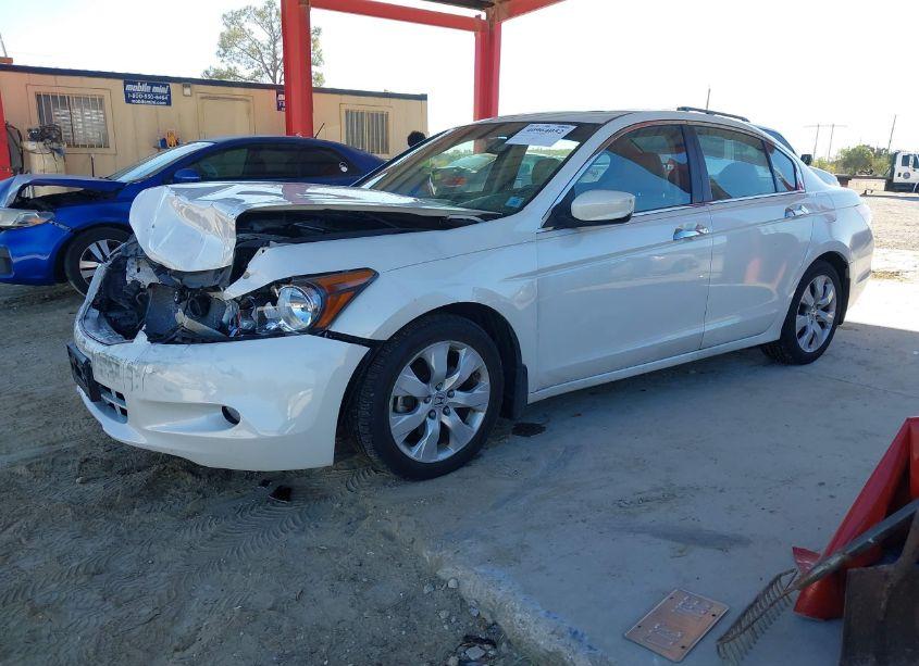 Photo 2 of 2010 Honda Accord 3.5 EX-L (VIN 5KBCP3F83AB013191)