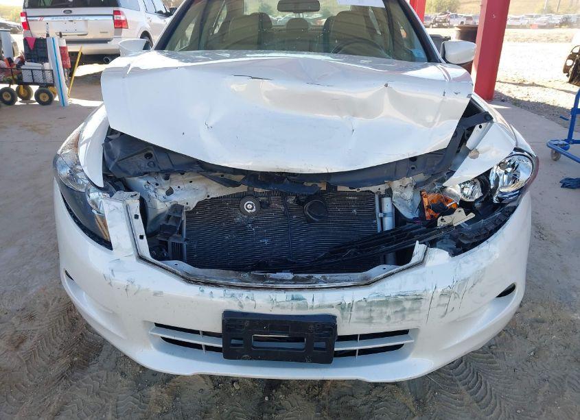 Photo 6 of 2010 Honda Accord 3.5 EX-L (VIN 5KBCP3F83AB013191)