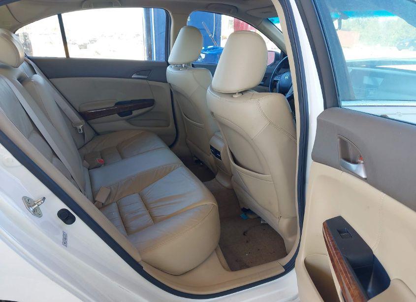 Photo 8 of 2010 Honda Accord 3.5 EX-L (VIN 5KBCP3F83AB013191)