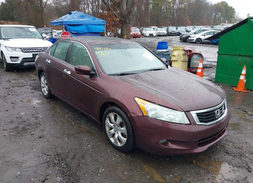 2010 Honda Accord 3.5 EX-L (VIN 5KBCP3F83AB018617) main photo