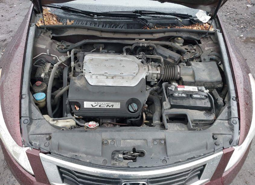 Photo 10 of 2010 Honda Accord 3.5 EX-L (VIN 5KBCP3F83AB018617)