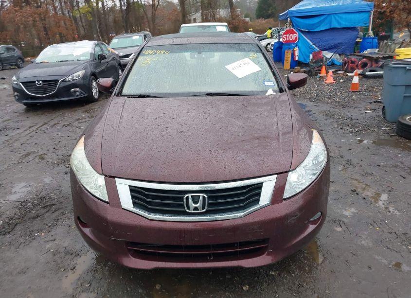 Photo 12 of 2010 Honda Accord 3.5 EX-L (VIN 5KBCP3F83AB018617)