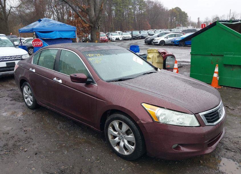 Photo 13 of 2010 Honda Accord 3.5 EX-L (VIN 5KBCP3F83AB018617)