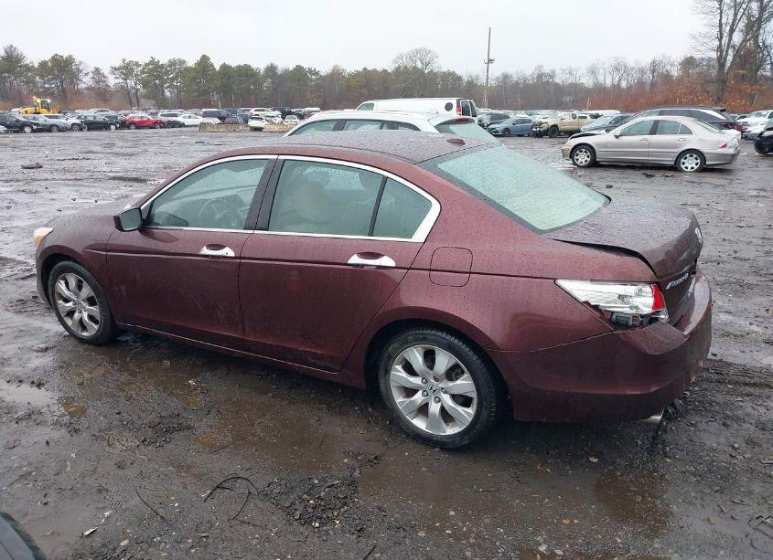 Photo 14 of 2010 Honda Accord 3.5 EX-L (VIN 5KBCP3F83AB018617)