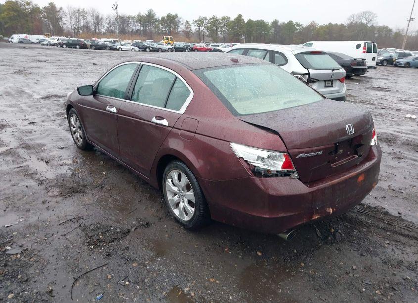 Photo 3 of 2010 Honda Accord 3.5 EX-L (VIN 5KBCP3F83AB018617)