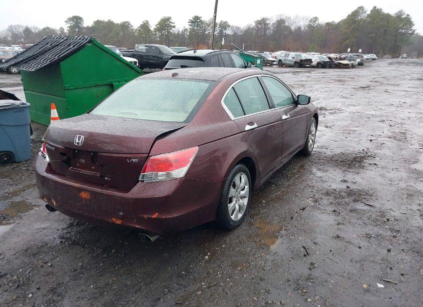 Photo 4 of 2010 Honda Accord 3.5 EX-L (VIN 5KBCP3F83AB018617)