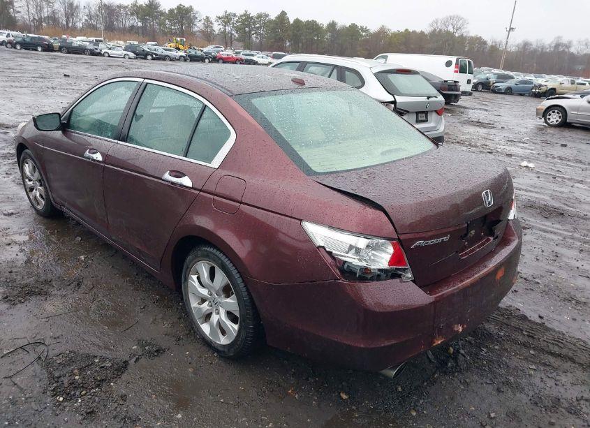 Photo 6 of 2010 Honda Accord 3.5 EX-L (VIN 5KBCP3F83AB018617)