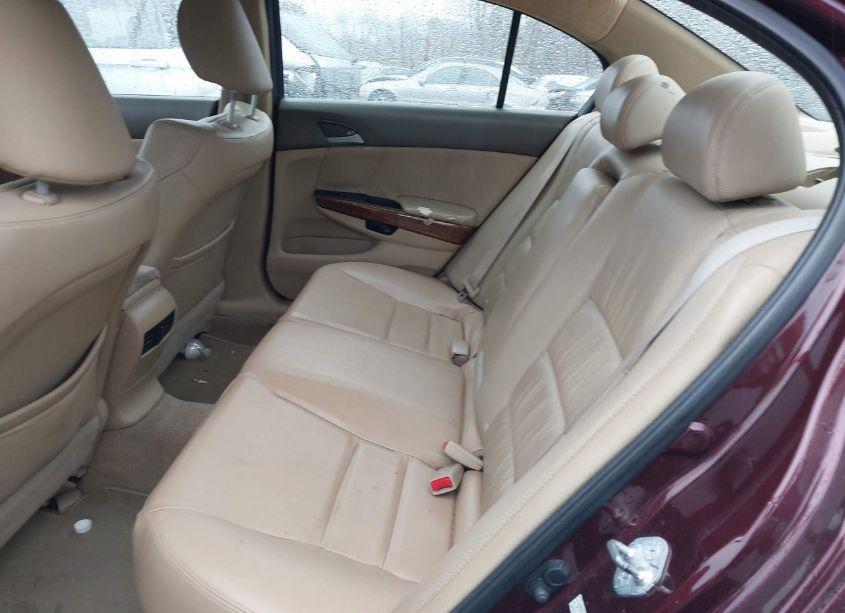 Photo 8 of 2010 Honda Accord 3.5 EX-L (VIN 5KBCP3F83AB018617)