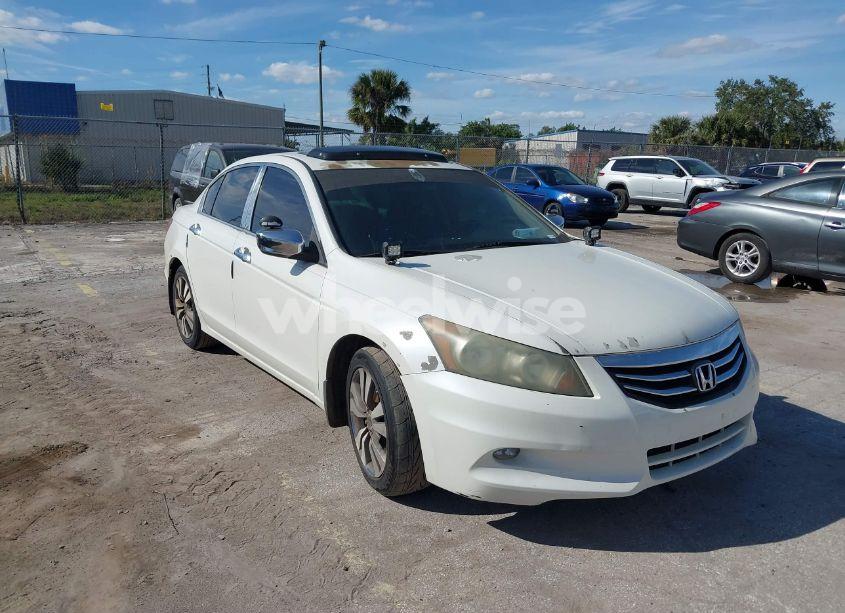 2011 Honda Accord 3.5 EX-L (VIN 5KBCP3F83BB004587) main photo