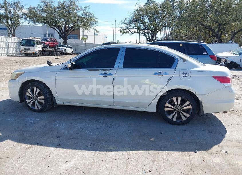 Photo 14 of 2011 Honda Accord 3.5 EX-L (VIN 5KBCP3F83BB004587)