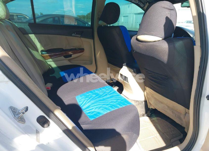 Photo 8 of 2011 Honda Accord 3.5 EX-L (VIN 5KBCP3F83BB004587)