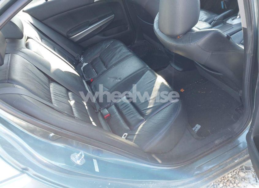 Photo 8 of 2010 Honda Accord 3.5 EX-L (VIN 5KBCP3F84AB001504)