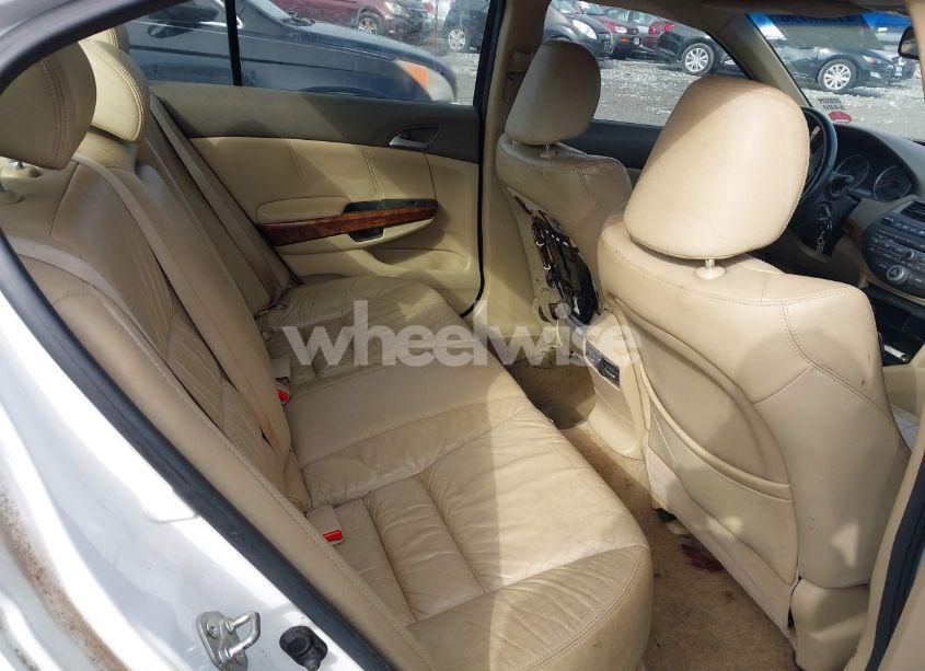 Photo 8 of 2010 Honda Accord 3.5 EX-L (VIN 5KBCP3F84AB002829)