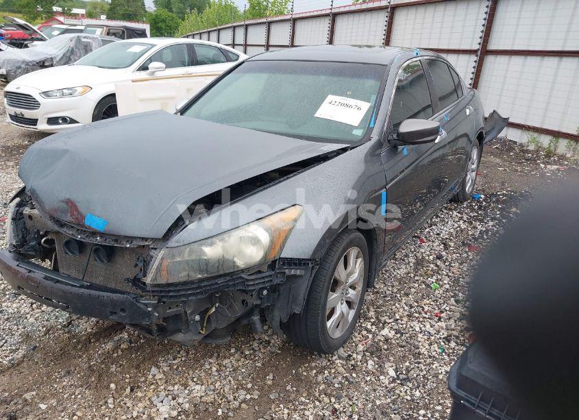 Photo 2 of 2010 Honda Accord 3.5 EX-L (VIN 5KBCP3F84AB003138)