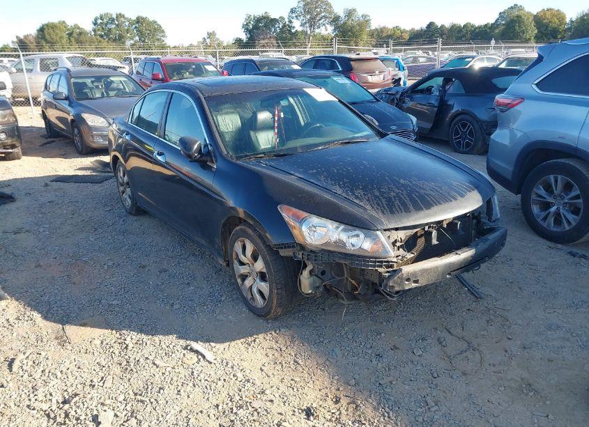 2010 Honda Accord 3.5 EX-L (VIN 5KBCP3F84AB007979) main photo