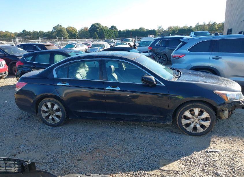 Photo 13 of 2010 Honda Accord 3.5 EX-L (VIN 5KBCP3F84AB007979)