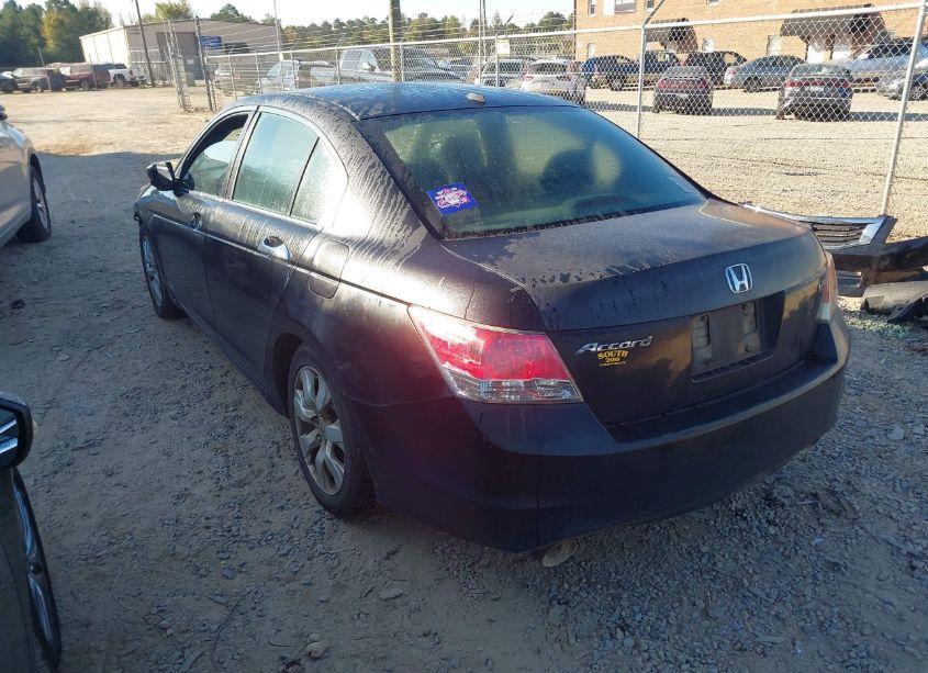 Photo 3 of 2010 Honda Accord 3.5 EX-L (VIN 5KBCP3F84AB007979)