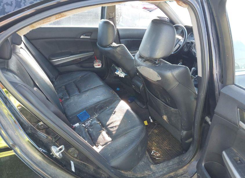 Photo 8 of 2010 Honda Accord 3.5 EX-L (VIN 5KBCP3F84AB007979)