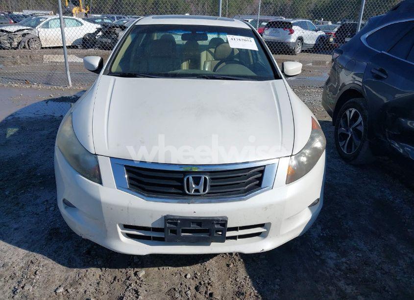 Photo 13 of 2010 Honda Accord 3.5 EX-L (VIN 5KBCP3F84AB012678)