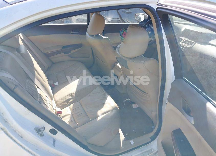 Photo 8 of 2010 Honda Accord 3.5 EX-L (VIN 5KBCP3F84AB012678)