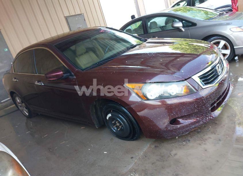 2010 Honda Accord 3.5 EX-L (VIN 5KBCP3F84AB012857) main photo