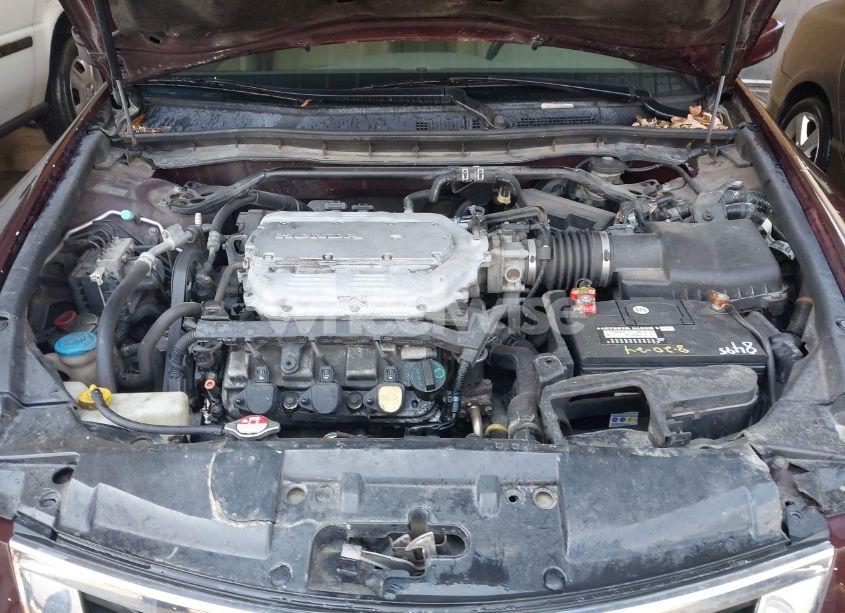 Photo 10 of 2010 Honda Accord 3.5 EX-L (VIN 5KBCP3F84AB012857)