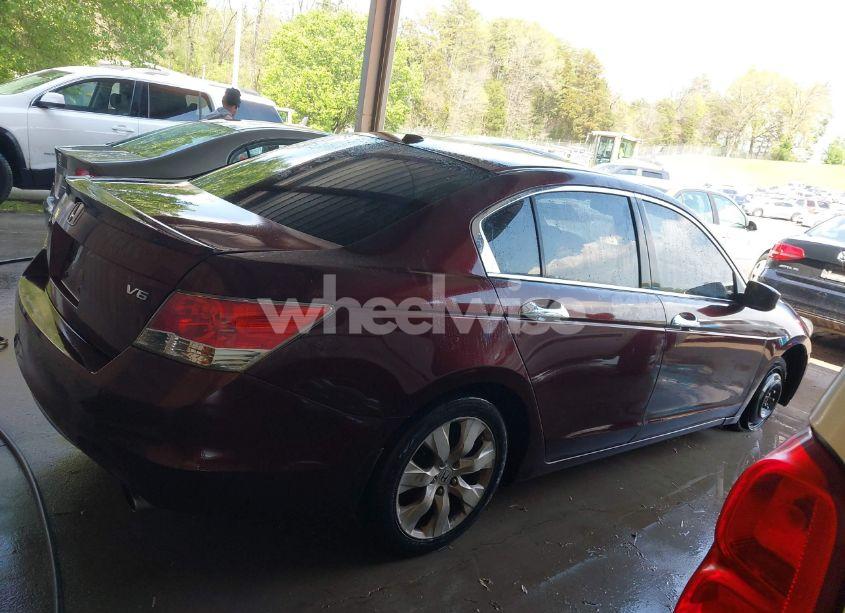 Photo 13 of 2010 Honda Accord 3.5 EX-L (VIN 5KBCP3F84AB012857)