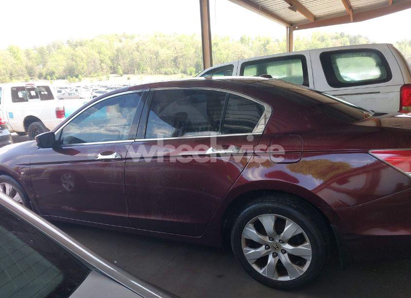 Photo 14 of 2010 Honda Accord 3.5 EX-L (VIN 5KBCP3F84AB012857)