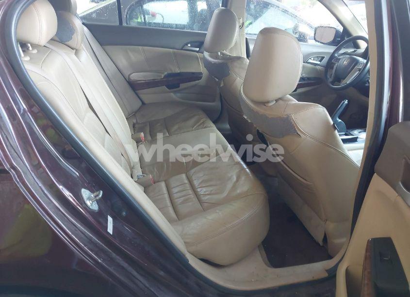 Photo 8 of 2010 Honda Accord 3.5 EX-L (VIN 5KBCP3F84AB012857)