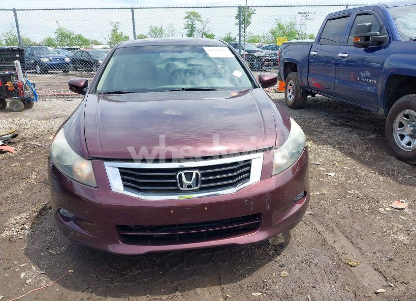 Photo 12 of 2010 Honda Accord 3.5 EX-L (VIN 5KBCP3F84AB013085)
