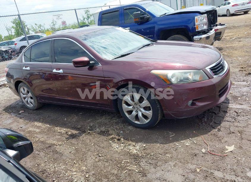 Photo 13 of 2010 Honda Accord 3.5 EX-L (VIN 5KBCP3F84AB013085)