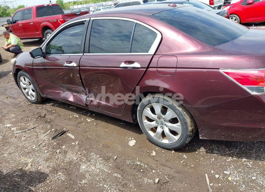 Photo 14 of 2010 Honda Accord 3.5 EX-L (VIN 5KBCP3F84AB013085)