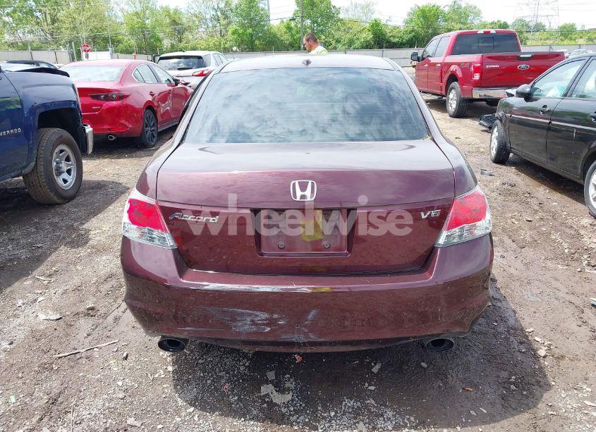 Photo 16 of 2010 Honda Accord 3.5 EX-L (VIN 5KBCP3F84AB013085)