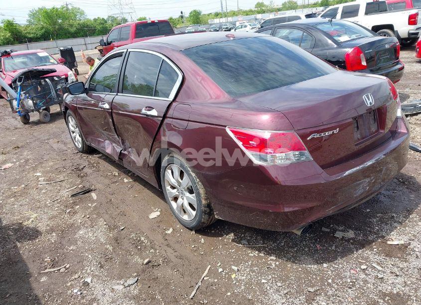 Photo 3 of 2010 Honda Accord 3.5 EX-L (VIN 5KBCP3F84AB013085)