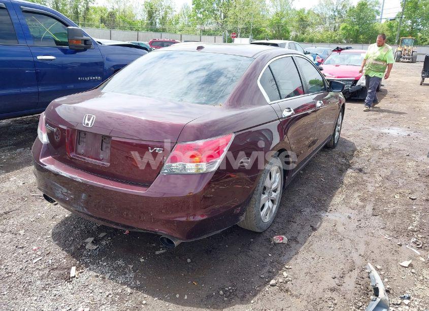 Photo 4 of 2010 Honda Accord 3.5 EX-L (VIN 5KBCP3F84AB013085)