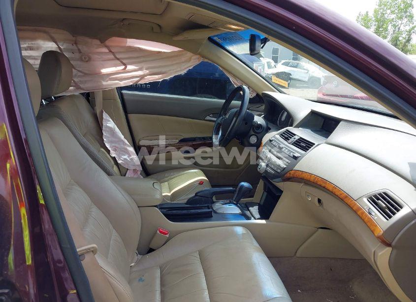 Photo 5 of 2010 Honda Accord 3.5 EX-L (VIN 5KBCP3F84AB013085)