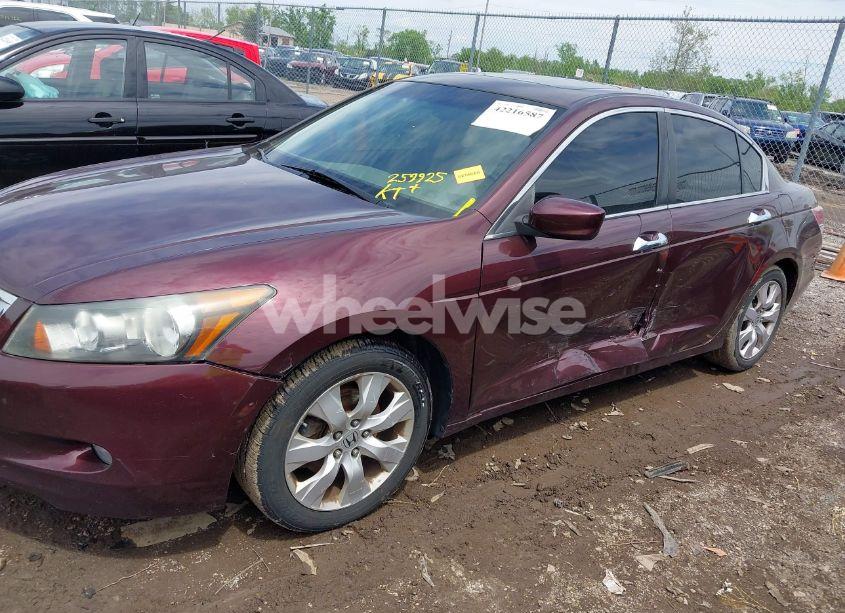 Photo 6 of 2010 Honda Accord 3.5 EX-L (VIN 5KBCP3F84AB013085)