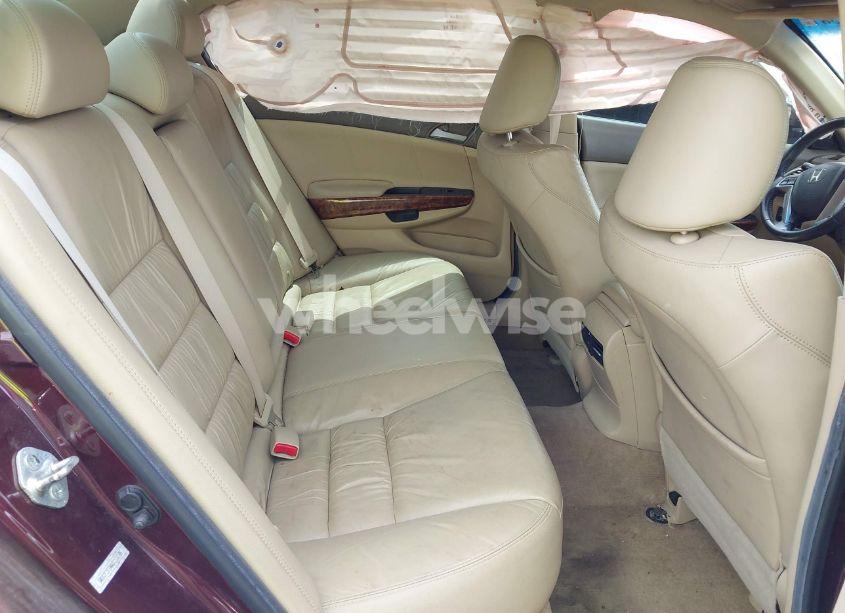 Photo 8 of 2010 Honda Accord 3.5 EX-L (VIN 5KBCP3F84AB013085)