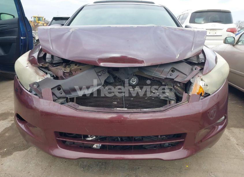 Photo 11 of 2010 Honda Accord 3.5 EX-L (VIN 5KBCP3F84AB015130)