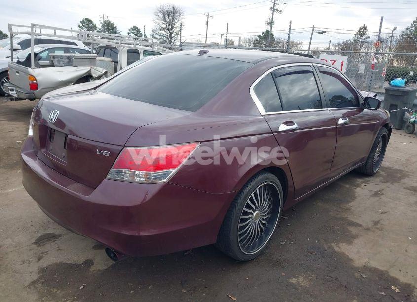 Photo 4 of 2010 Honda Accord 3.5 EX-L (VIN 5KBCP3F84AB015130)