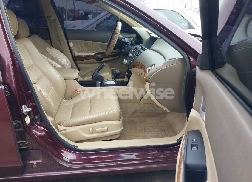 Photo 5 of 2010 Honda Accord 3.5 EX-L (VIN 5KBCP3F84AB015130)