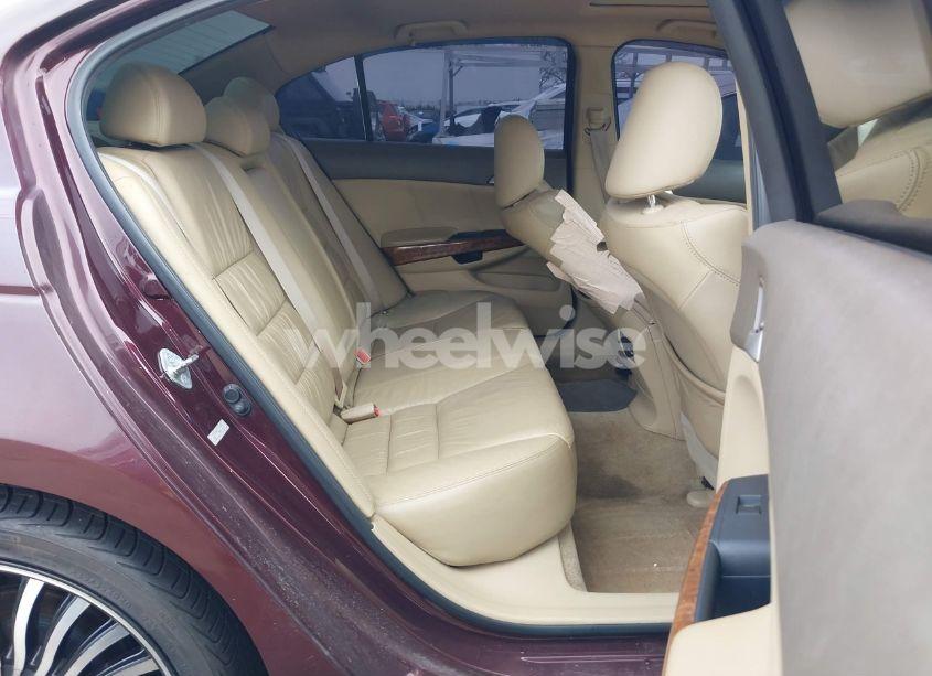 Photo 8 of 2010 Honda Accord 3.5 EX-L (VIN 5KBCP3F84AB015130)