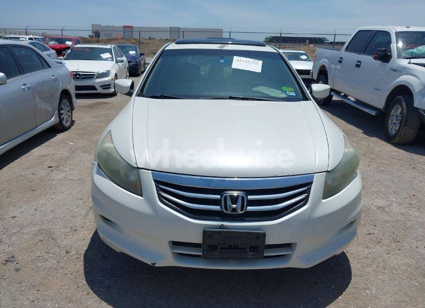 Photo 12 of 2011 Honda Accord 3.5 EX-L (VIN 5KBCP3F84BB002945)