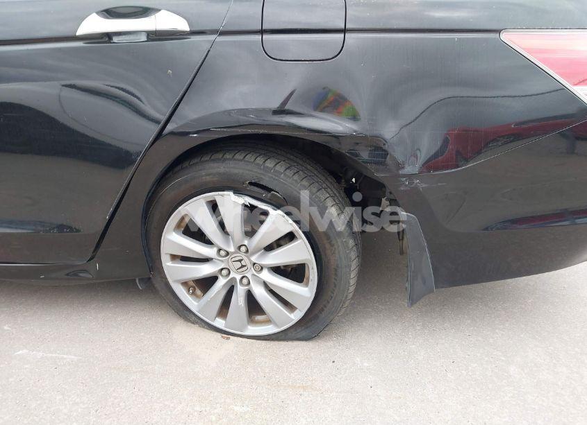 Photo 6 of 2011 Honda Accord 3.5 EX-L (VIN 5KBCP3F84BB003576)